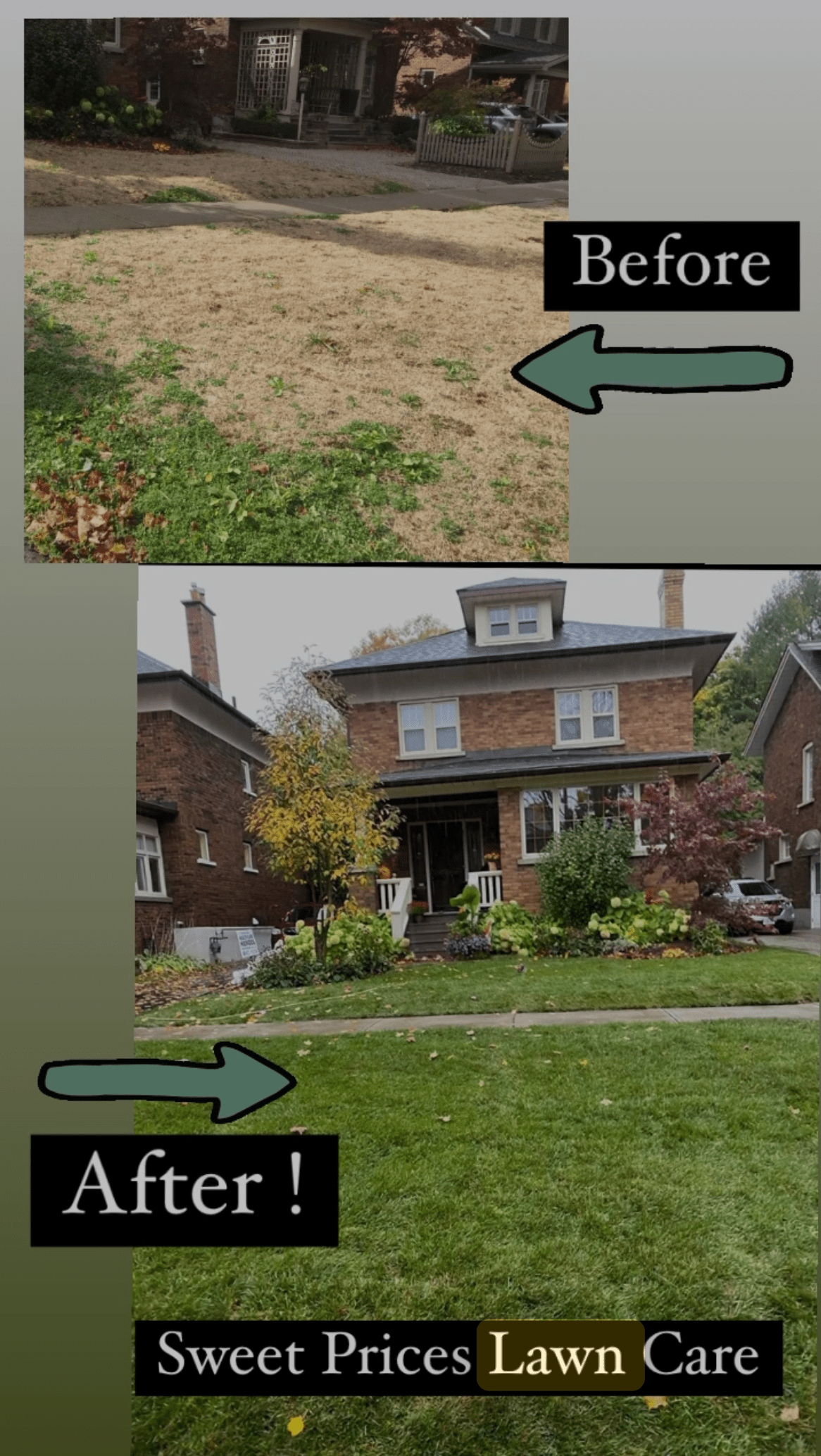 Fresh sod installation by Sweet Price